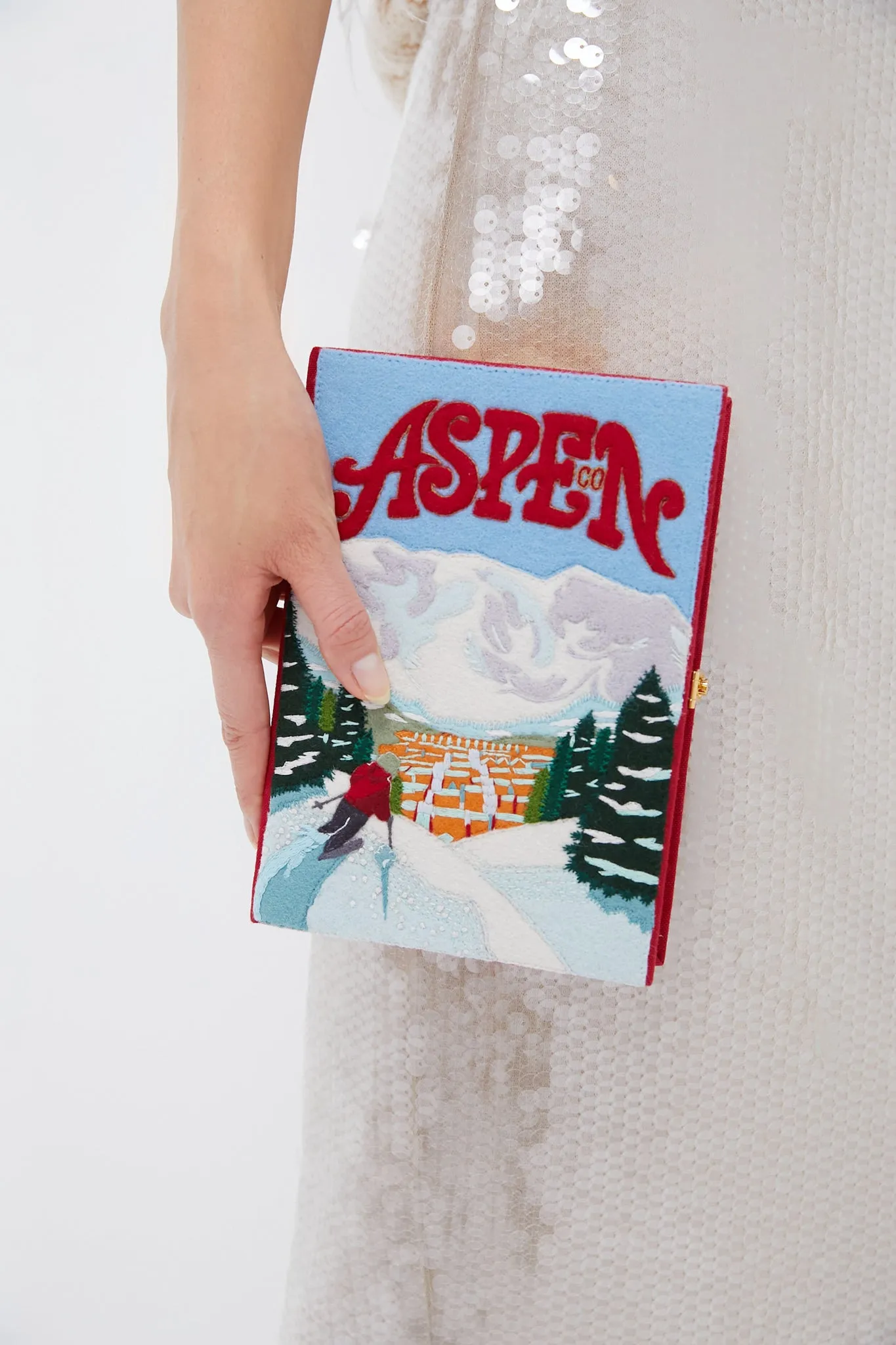 Aspen Book Clutch